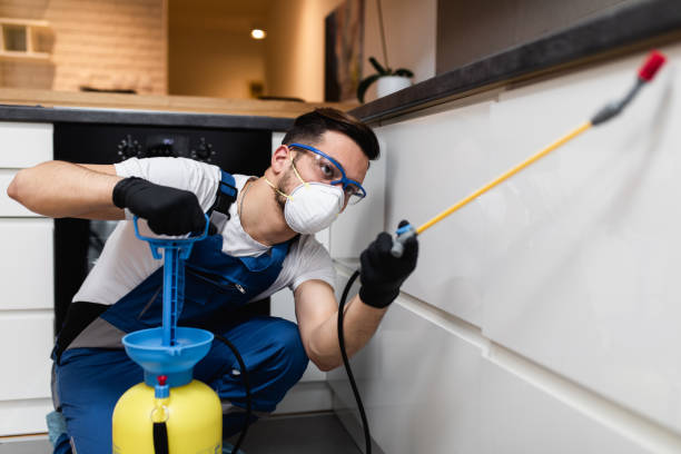 Best Pest Control for Restaurants  in Lattingtown, NY