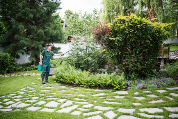 Reliable Lattingtown, NY Pest Control Solutions