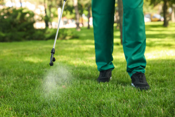 Wasp Removal Services in Lattingtown, NY