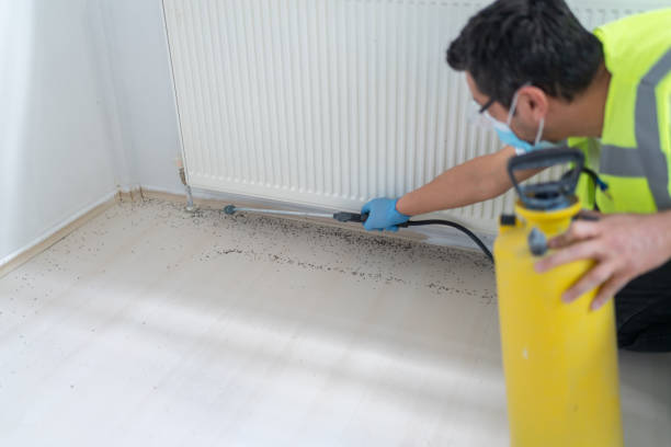 Best Cockroach Control Services  in Lattingtown, NY